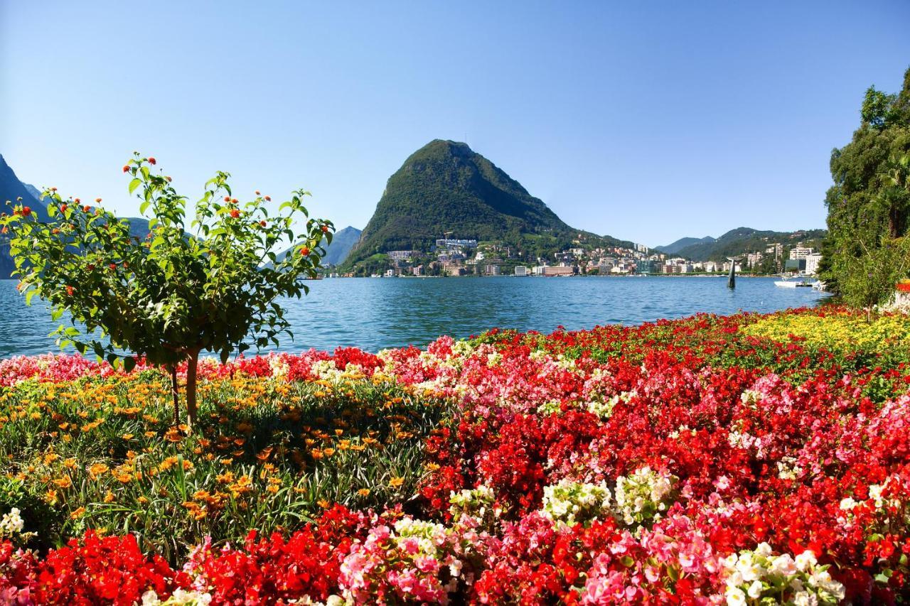 Piccola Grecia 8 Lägenhet Lugano Exteriör bild